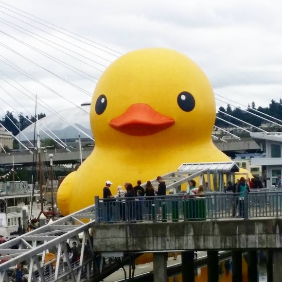 Meet your Posher, Miel - Picture 3 of 3